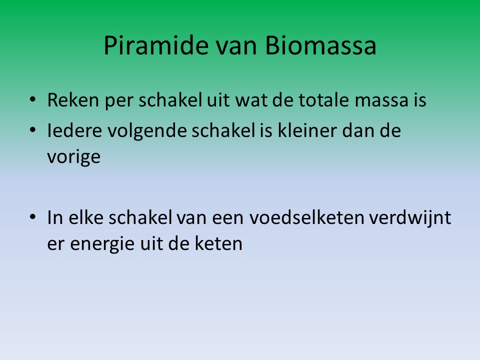 Piramide van Biomassa Reken per schakel uit wat de totale massa is
