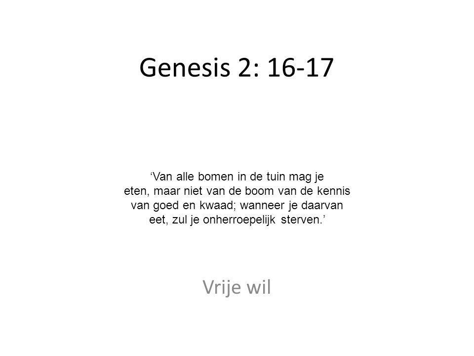 Genesis 2: 16-17