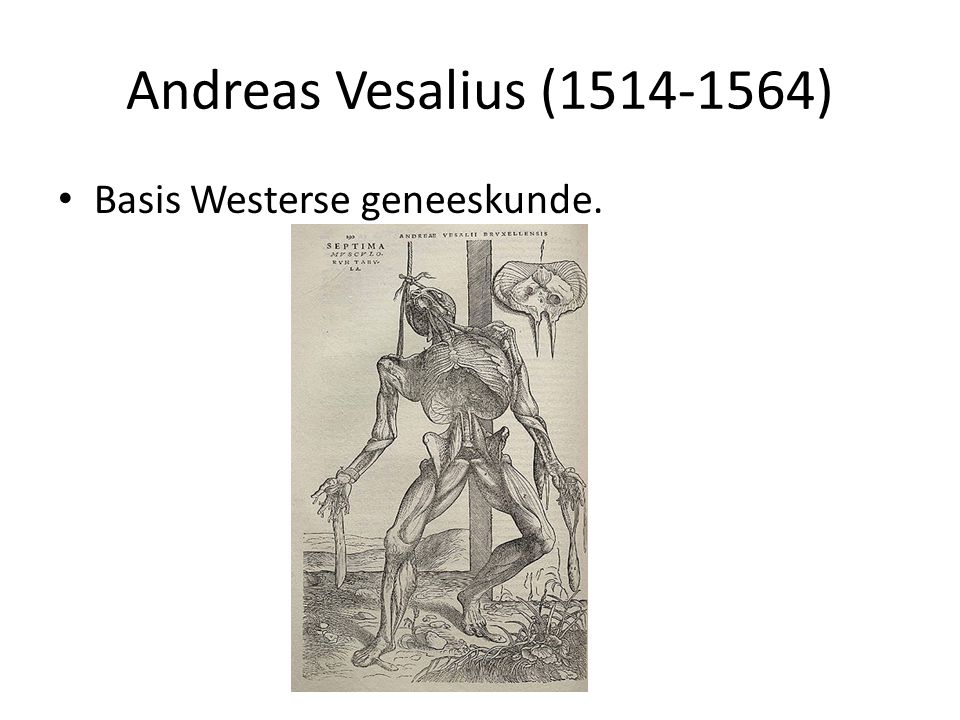 Andreas Vesalius ( ) Basis Westerse geneeskunde.