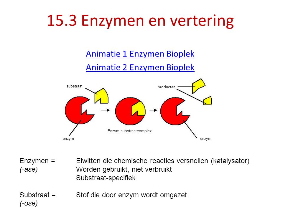 Animatie 1 Enzymen Bioplek Animatie 2 Enzymen Bioplek