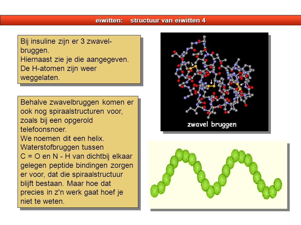 eiwitten: structuur van eiwitten 4