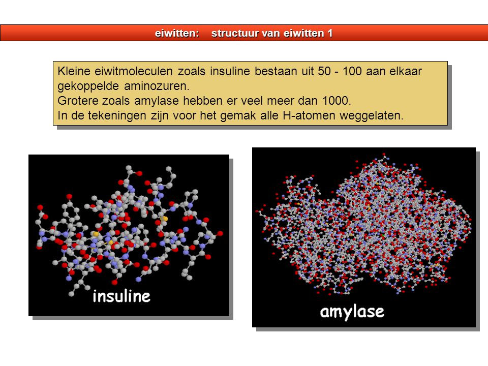 eiwitten: structuur van eiwitten 1