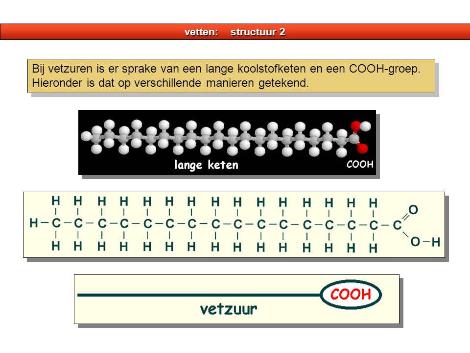 vetten: structuur 2 Bij vetzuren is er sprake van een lange koolstofketen en een COOH-groep.