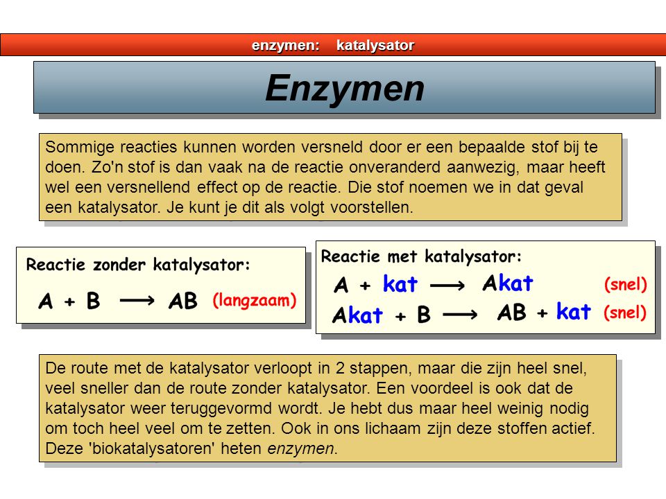 enzymen: katalysator Enzymen.