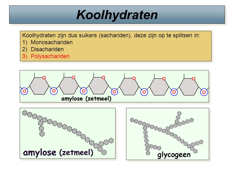 Koolhydraten Koolhydraten zijn dus suikers (sachariden), deze zijn op te splitsen in: Monosachariden.
