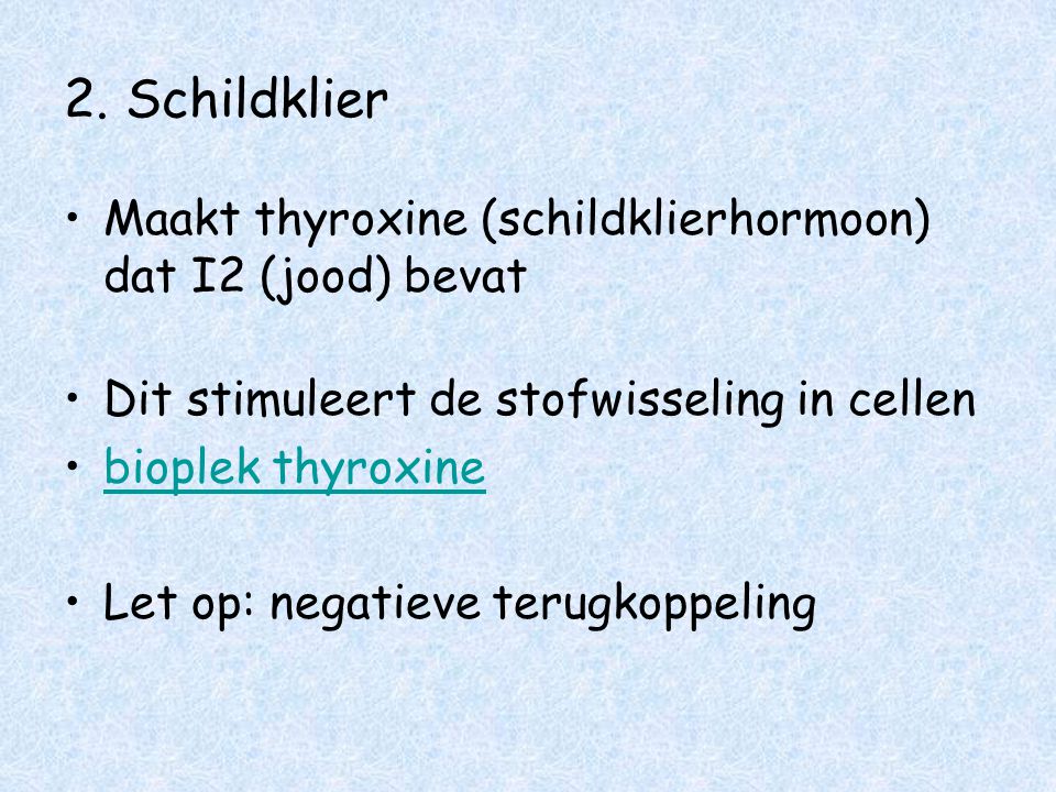 2. Schildklier Maakt thyroxine (schildklierhormoon) dat I2 (jood) bevat. Dit stimuleert de stofwisseling in cellen.