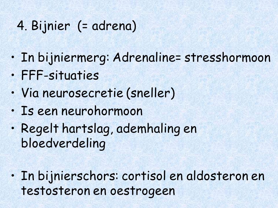 4. Bijnier (= adrena) In bijniermerg: Adrenaline= stresshormoon. FFF-situaties. Via neurosecretie (sneller)