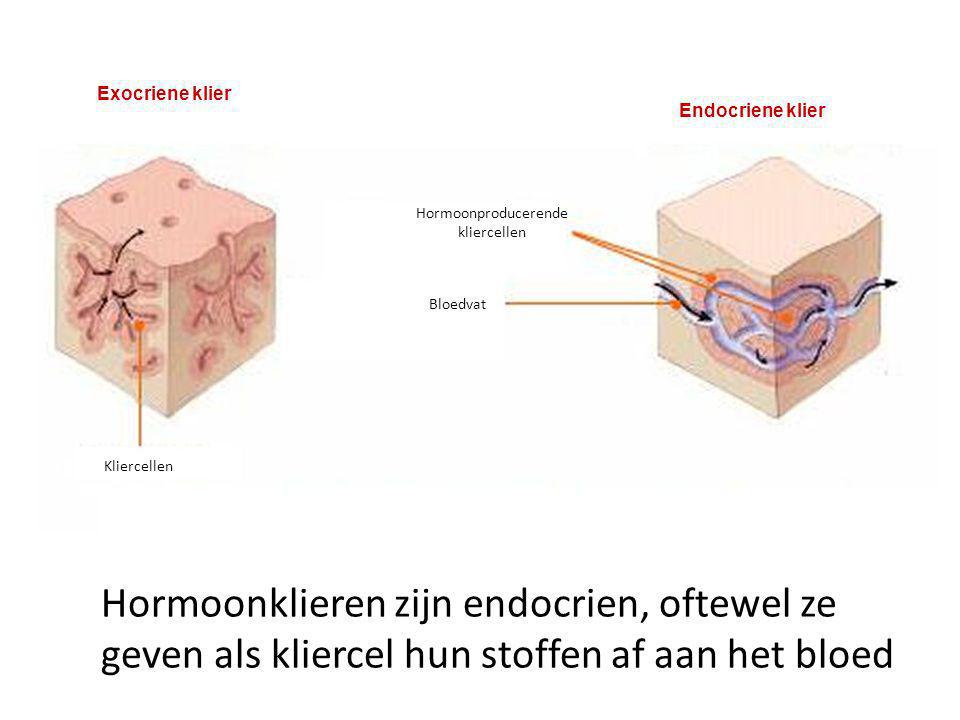 Hormoonklieren zijn endocrien, oftewel ze