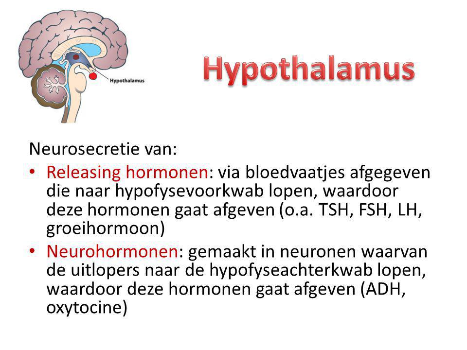 Hypothalamus Neurosecretie van: