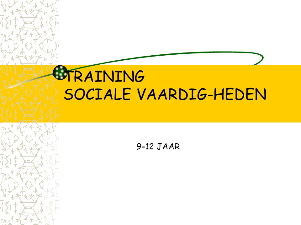 TRAINING SOCIALE VAARDIG-HEDEN