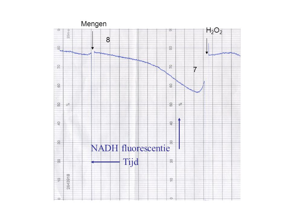 Mengen H2O2 8 7 NADH fluorescentie Tijd