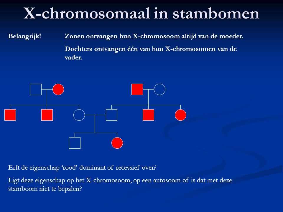 X-chromosomaal in stambomen