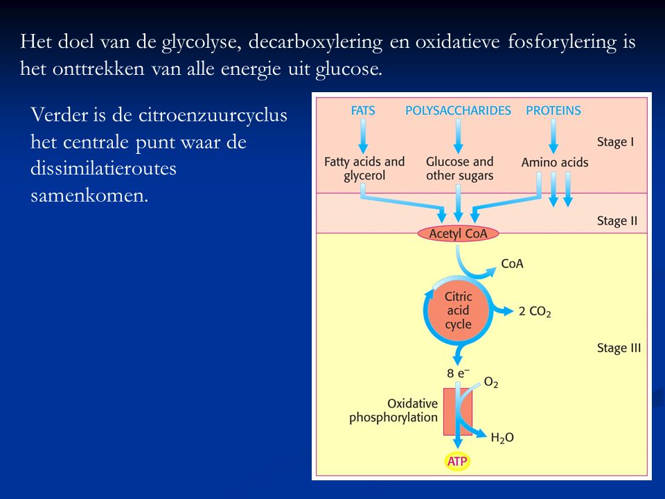 Het doel van de glycolyse, decarboxylering en oxidatieve fosforylering is het onttrekken van alle energie uit glucose.