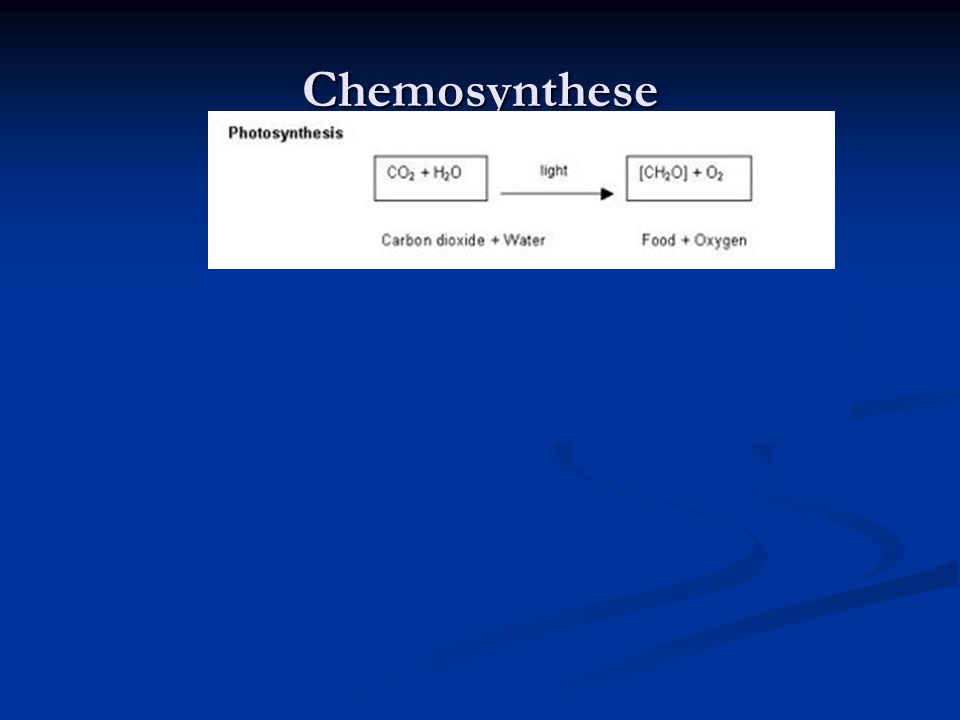 Chemosynthese en stikstofkringloop