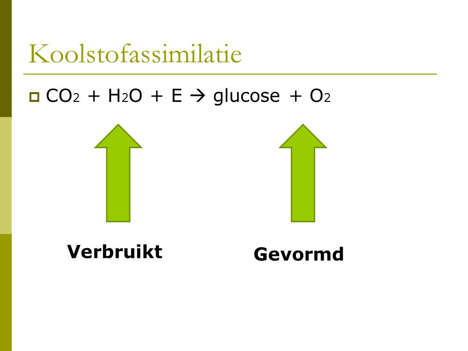 Koolstofassimilatie CO2 + H2O + E  glucose + O2 Verbruikt Gevormd