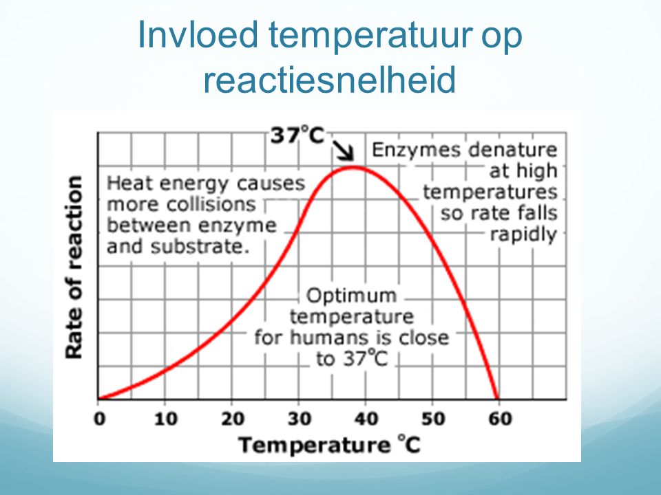 Invloed temperatuur op reactiesnelheid