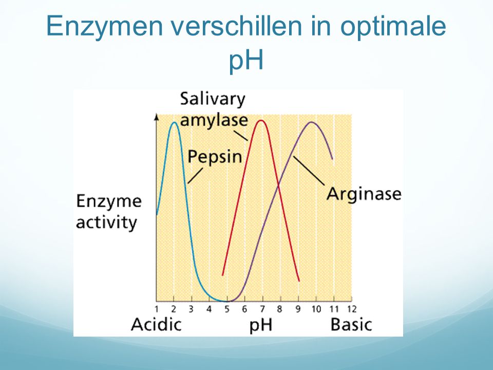Enzymen verschillen in optimale pH