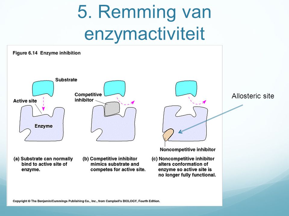 5. Remming van enzymactiviteit