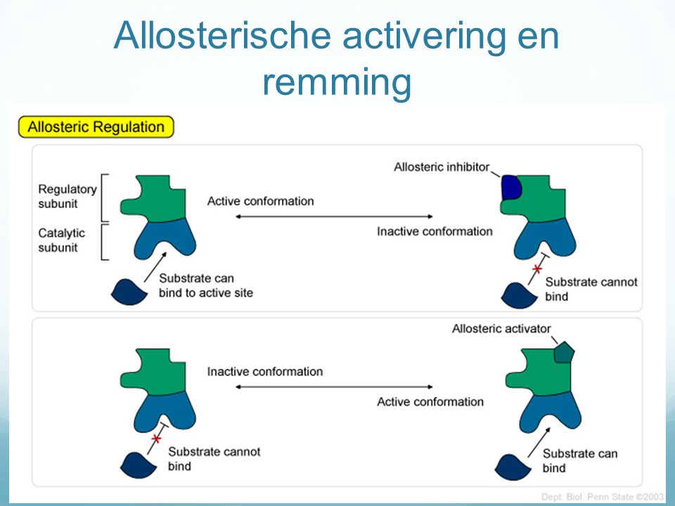 Allosterische activering en remming