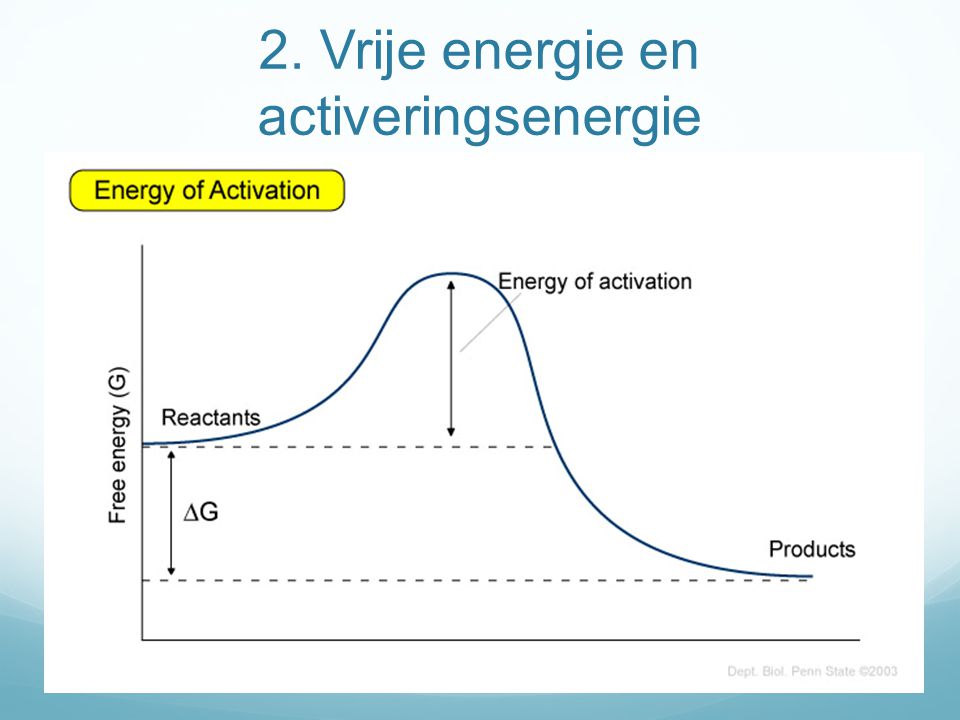2. Vrije energie en activeringsenergie
