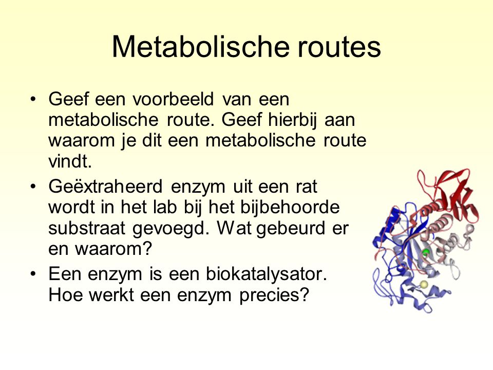 Metabolische routes Geef een voorbeeld van een metabolische route. Geef hierbij aan waarom je dit een metabolische route vindt.