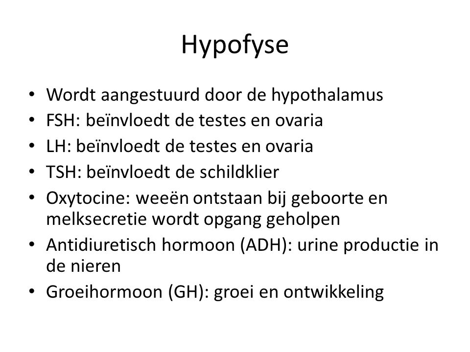 Hypofyse Wordt aangestuurd door de hypothalamus