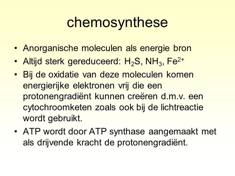 chemosynthese Anorganische moleculen als energie bron