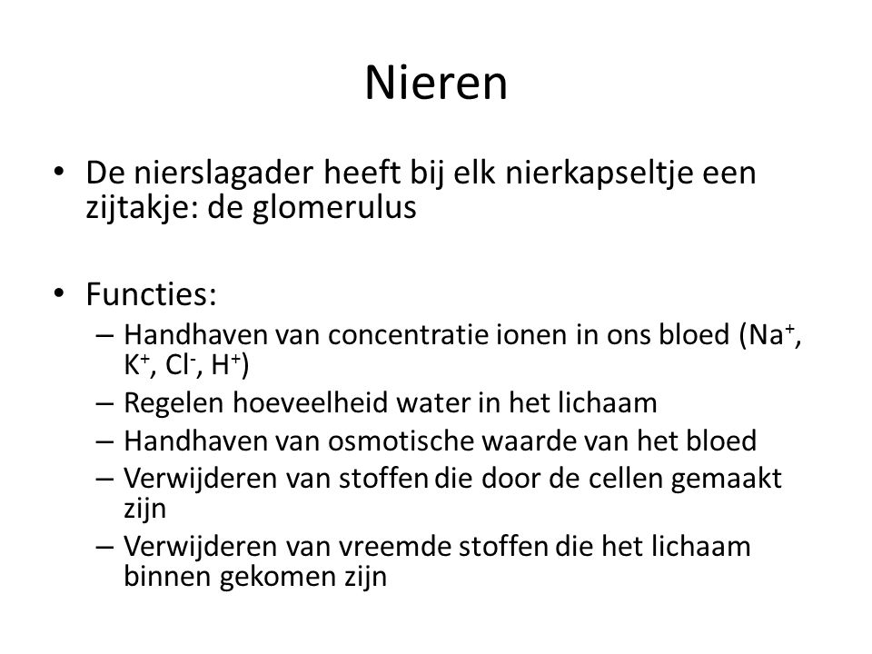 Nieren De nierslagader heeft bij elk nierkapseltje een zijtakje: de glomerulus. Functies: