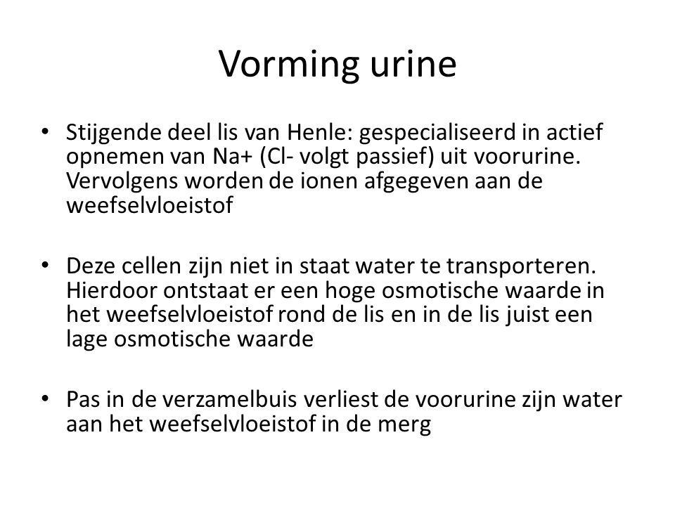 Vorming urine