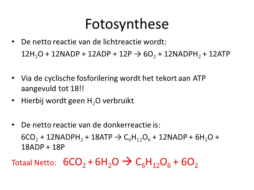 Fotosynthese De netto reactie van de lichtreactie wordt: