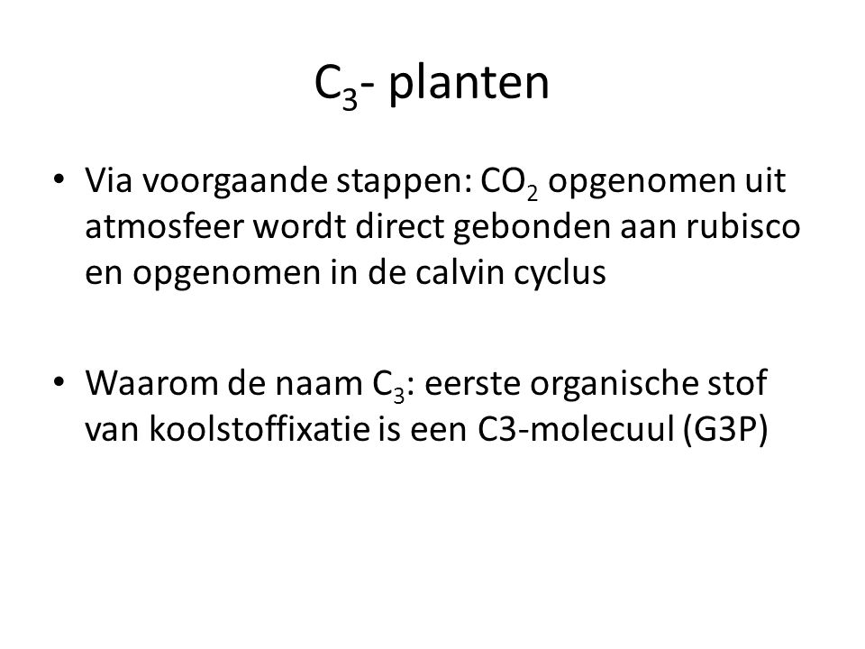 C3- planten Via voorgaande stappen: CO2 opgenomen uit atmosfeer wordt direct gebonden aan rubisco en opgenomen in de calvin cyclus.