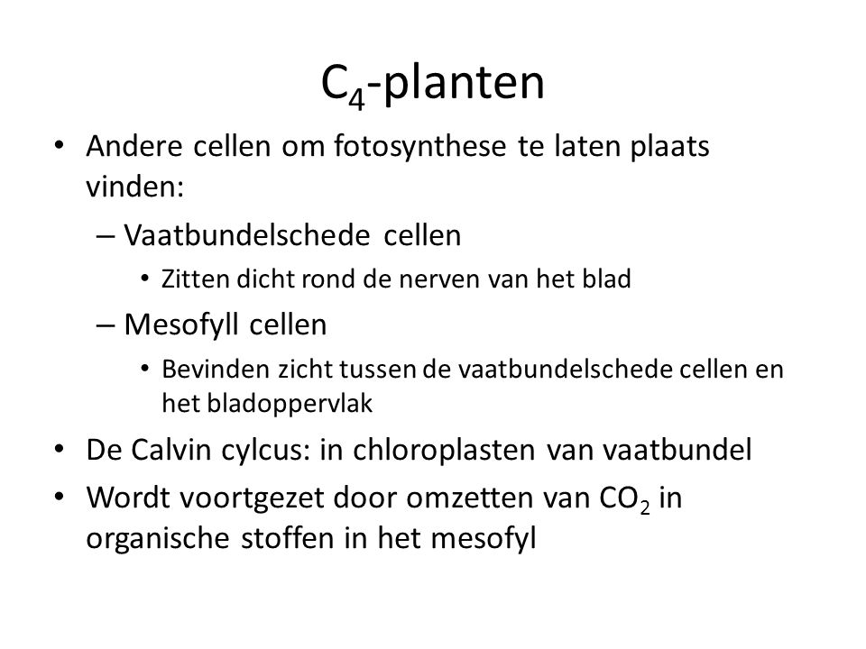 C4-planten Andere cellen om fotosynthese te laten plaats vinden: