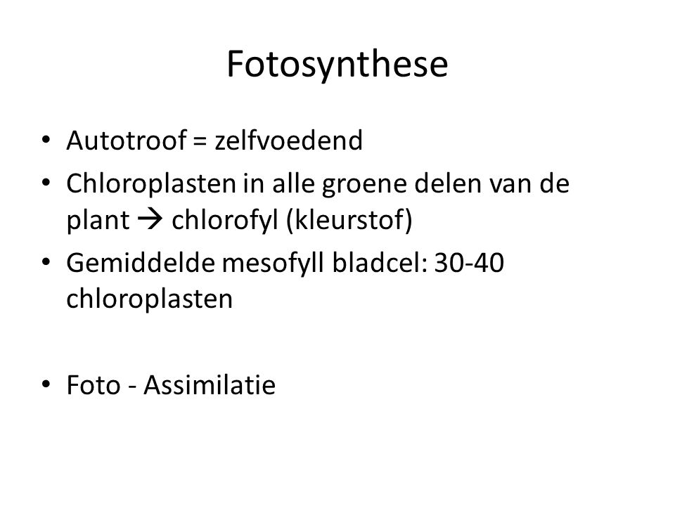 Fotosynthese Autotroof = zelfvoedend