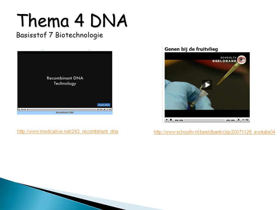 Thema 4 DNA Basisstof 7 Biotechnologie