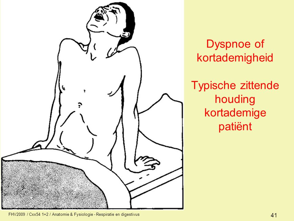 Dyspnoe of kortademigheid Typische zittende houding kortademige patiënt