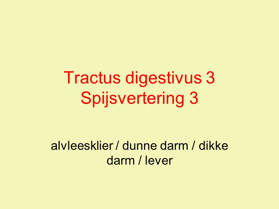 Tractus digestivus 3 Spijsvertering 3