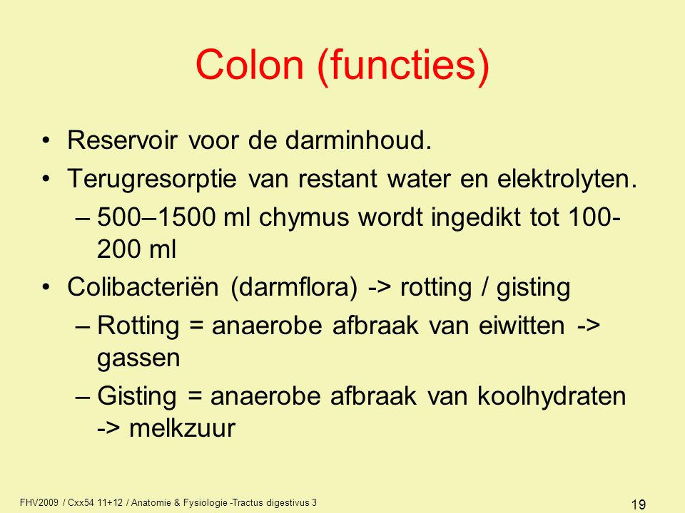 Colon (functies) Reservoir voor de darminhoud.
