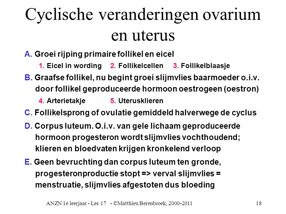 Cyclische veranderingen ovarium en uterus