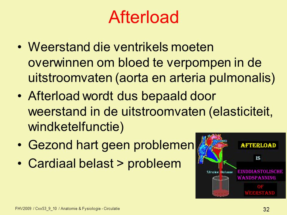 Afterload Weerstand die ventrikels moeten overwinnen om bloed te verpompen in de uitstroomvaten (aorta en arteria pulmonalis)