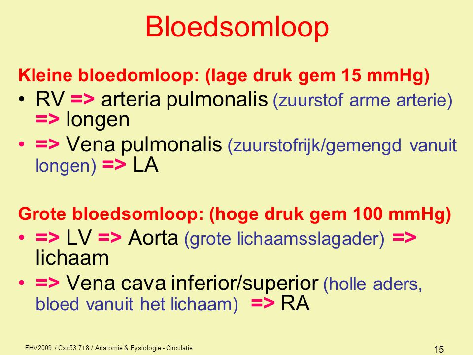 Bloedsomloop Kleine bloedomloop: (lage druk gem 15 mmHg) RV => arteria pulmonalis (zuurstof arme arterie) => longen.