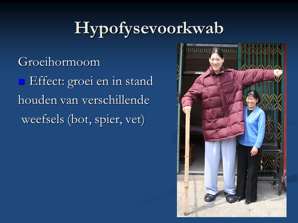 Hypofysevoorkwab Groeihormoom Effect: groei en in stand