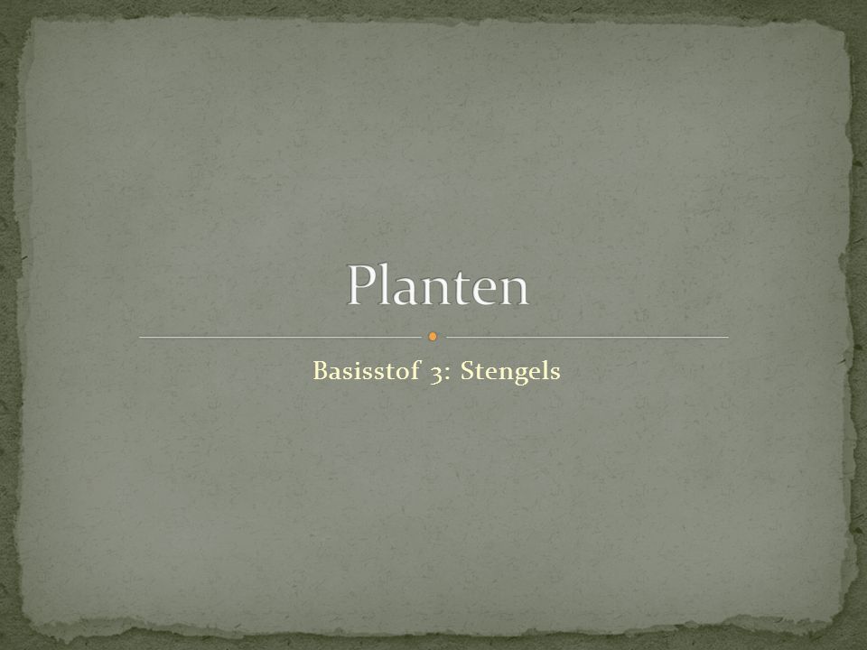 Planten Basisstof 3: Stengels
