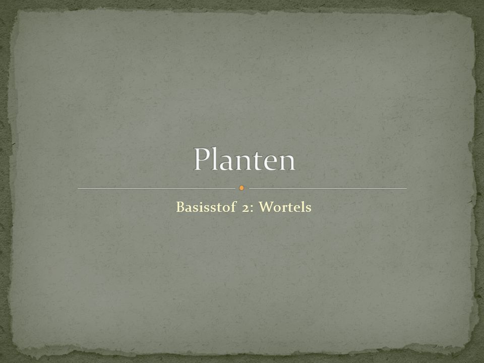 Planten Basisstof 2: Wortels