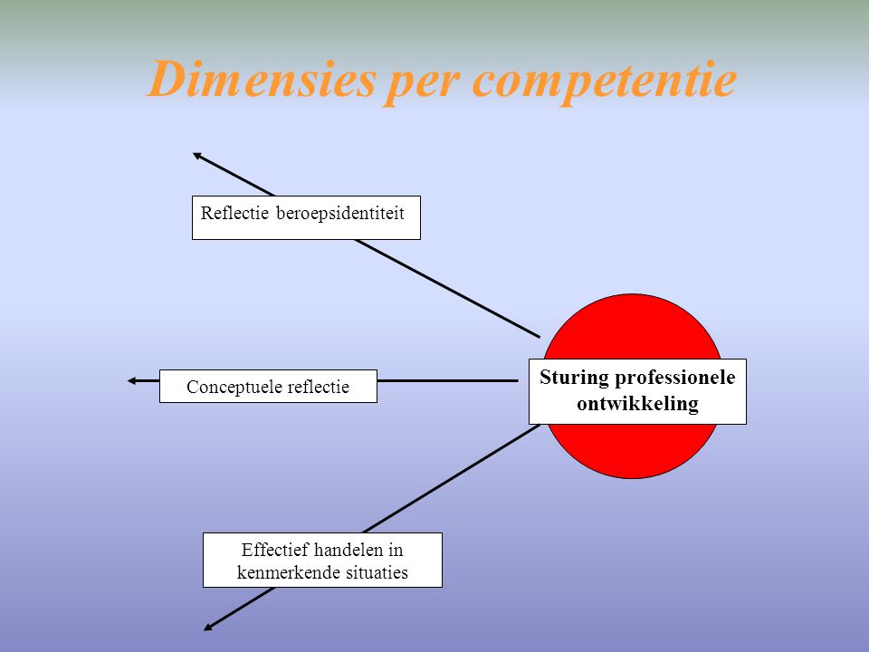 Dimensies per competentie