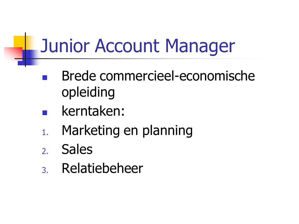 Junior Account Manager