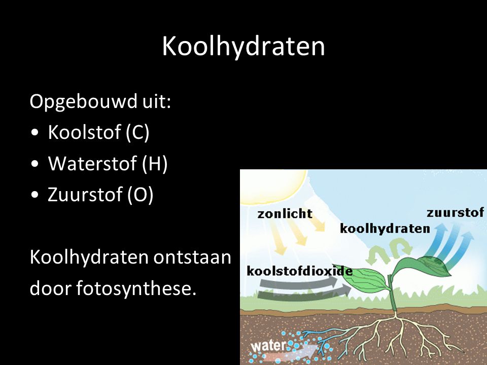 Koolhydraten Opgebouwd uit: Koolstof (C) Waterstof (H) Zuurstof (O)