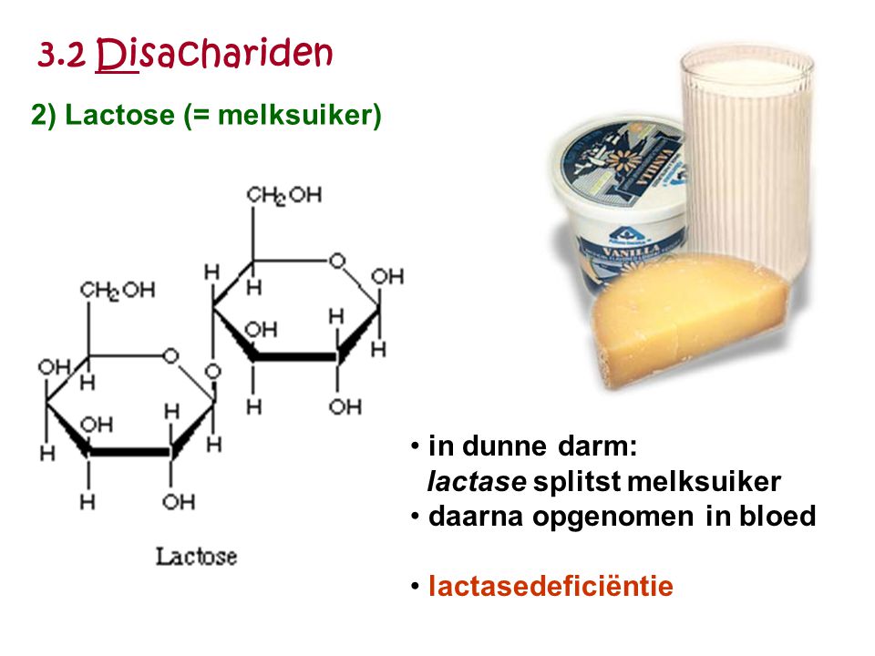 3.2 Disachariden 2) Lactose (= melksuiker)