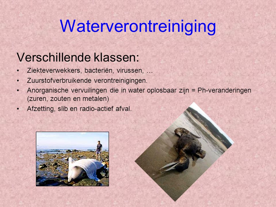 Waterverontreiniging