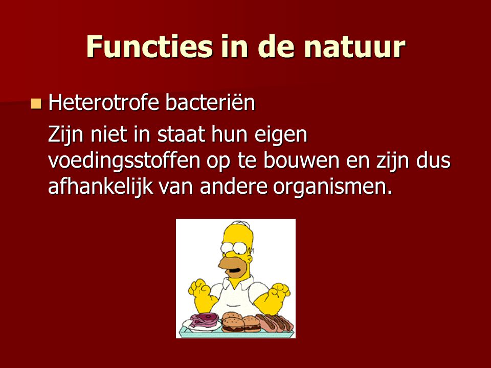 Functies in de natuur Heterotrofe bacteriën