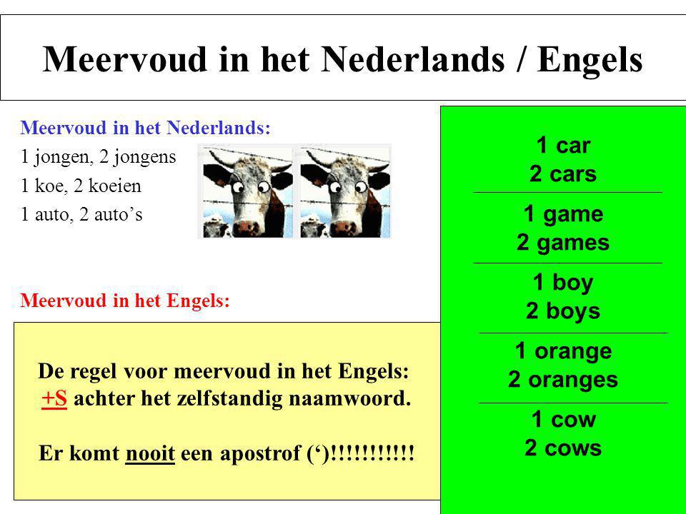 Meervoud in het Nederlands / Engels
